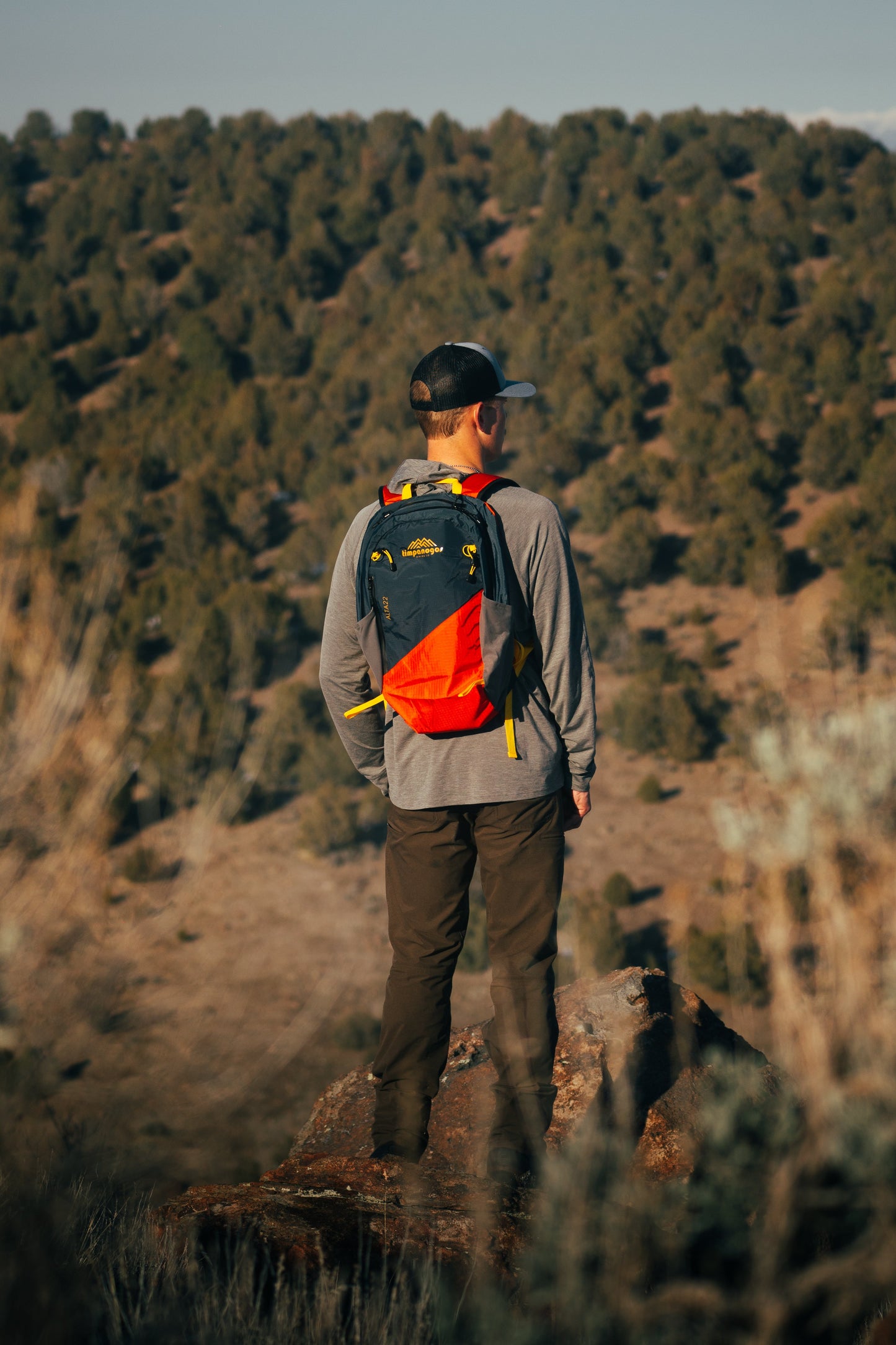 Timpanogos Elevation 22L Backpack (Alta)