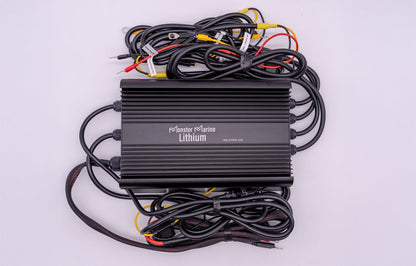 Monster Marine Lithium 36v - DYNO5 - DYNAMIC CHARGER