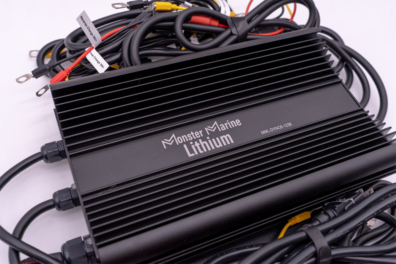 Monster Marine Lithium 36v - DYNO5 - DYNAMIC CHARGER