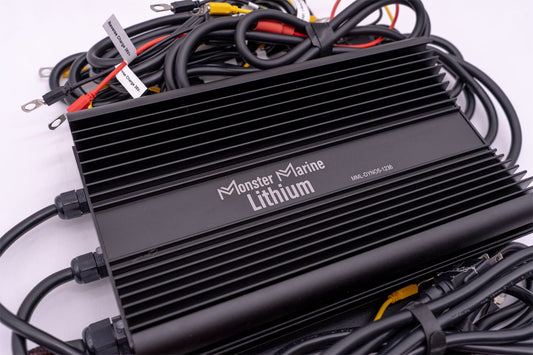Monster Marine Lithium 36v - DYNO5 - DYNAMIC CHARGER