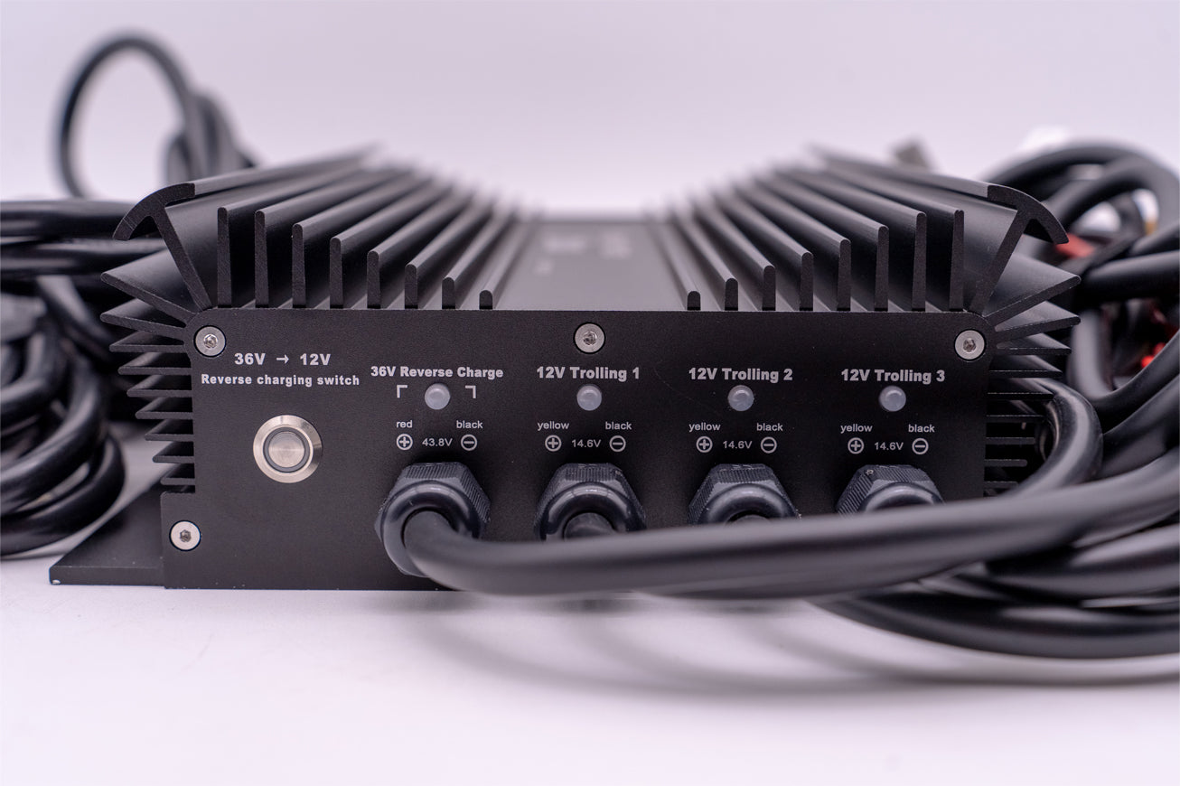 Monster Marine Lithium 36v - DYNO5 - DYNAMIC CHARGER