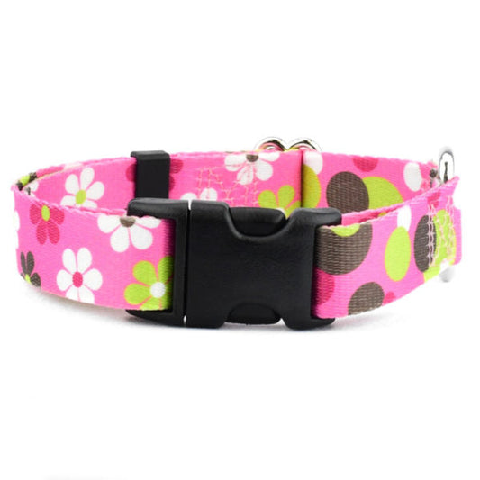 2 Hounds Design Daisy Dot Dog Collar – EarthStyle
