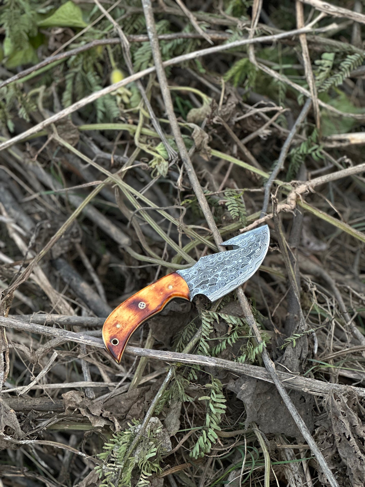 Texan Knives Custom Handmade Damascus Steel Guthook Skinning Knife with Camel Bone Handle - 7.5” Blade with Leather Sheath