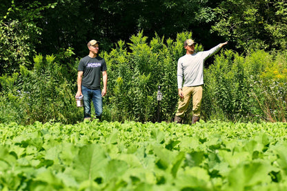 Domain Outdoor Black T-Shirt