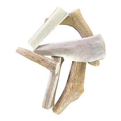 Jack’s Premium Elk Antlers
