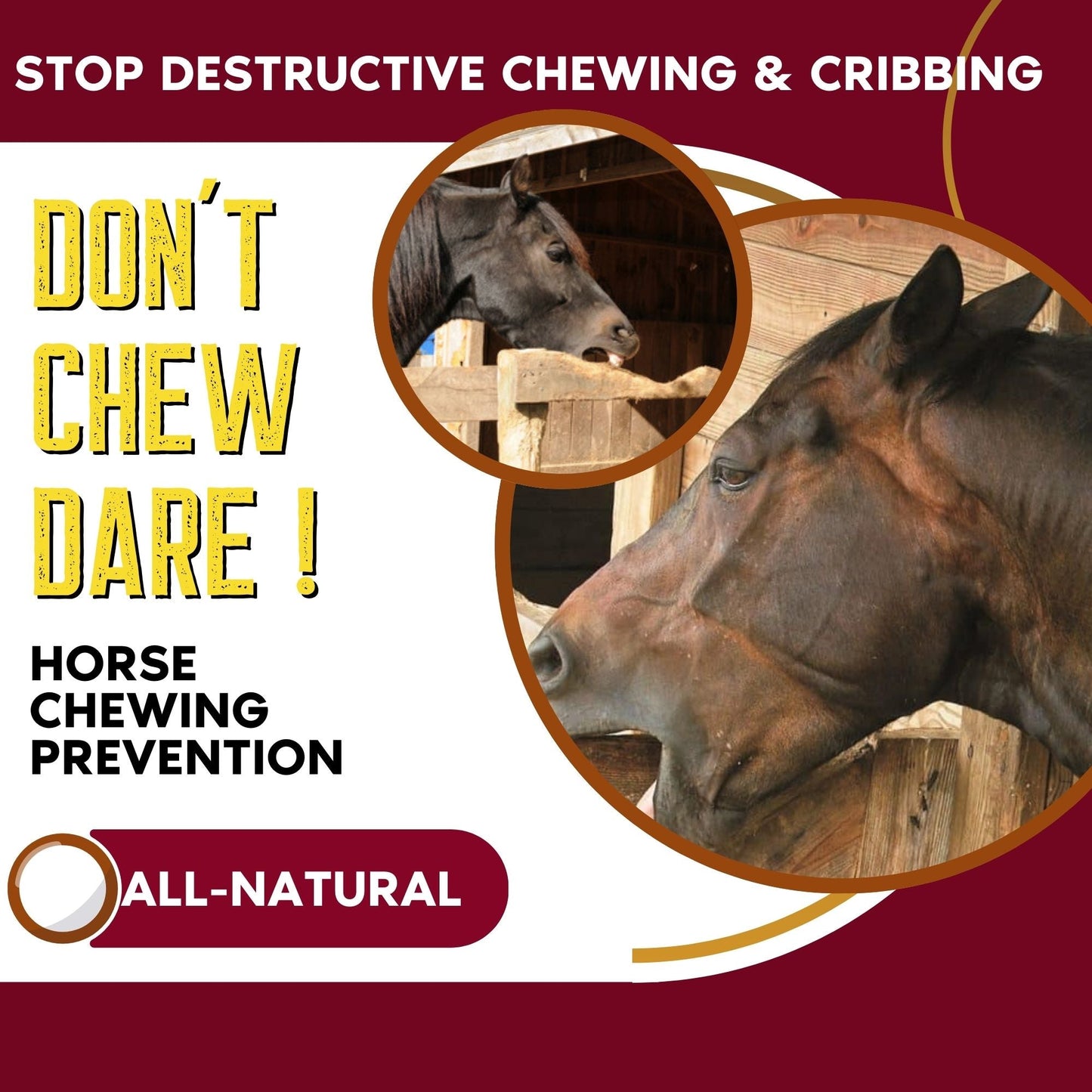Zone Protects Don't Chew Dare! Horse Chewing Prevention