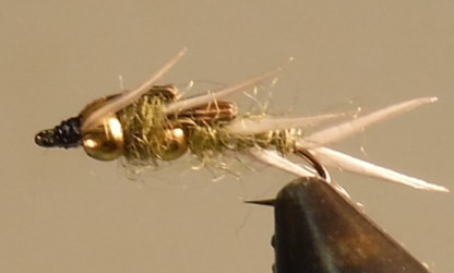 Stone Creek Double Bead - Stonefly Nymphs