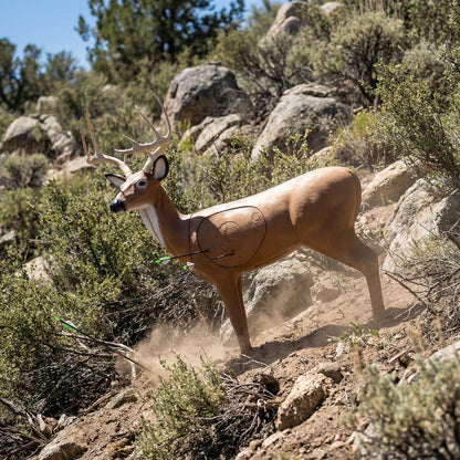 BIGshot Archery Pro Hunter Double Duty Buck Archery Target