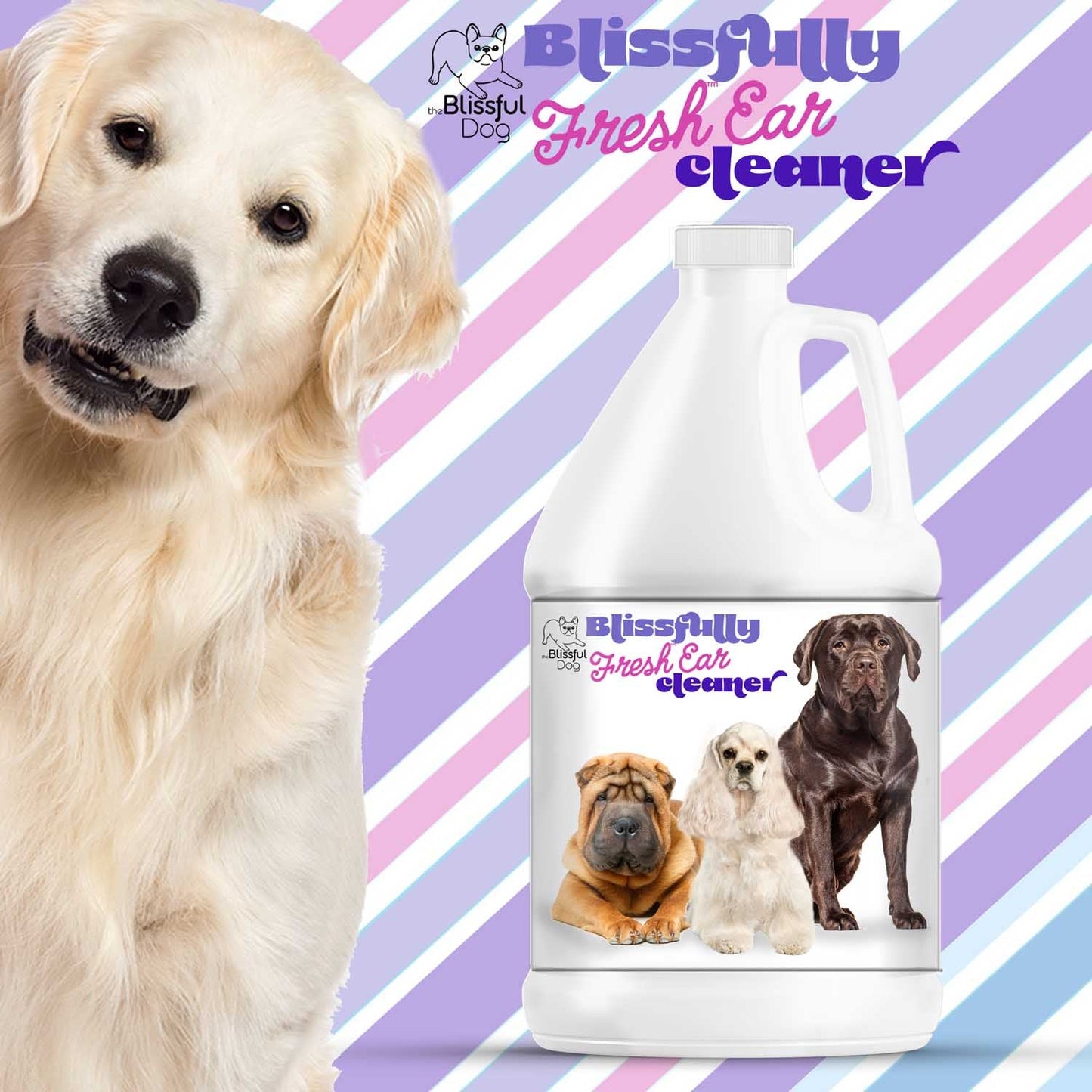 The Blissful Dog Blissfully Fresh™ Dog Ear Cleaner