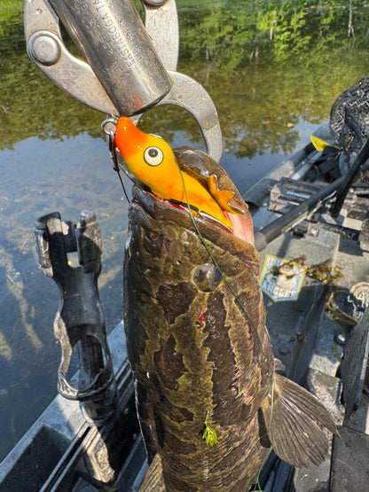 High Octane  HOCB Ducks