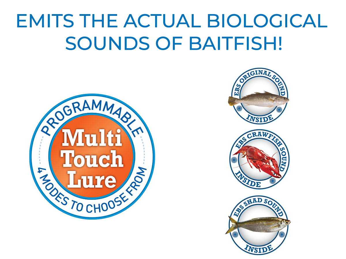 Livingston Lures Howeller Deep Plus (EBS MultiTouch)