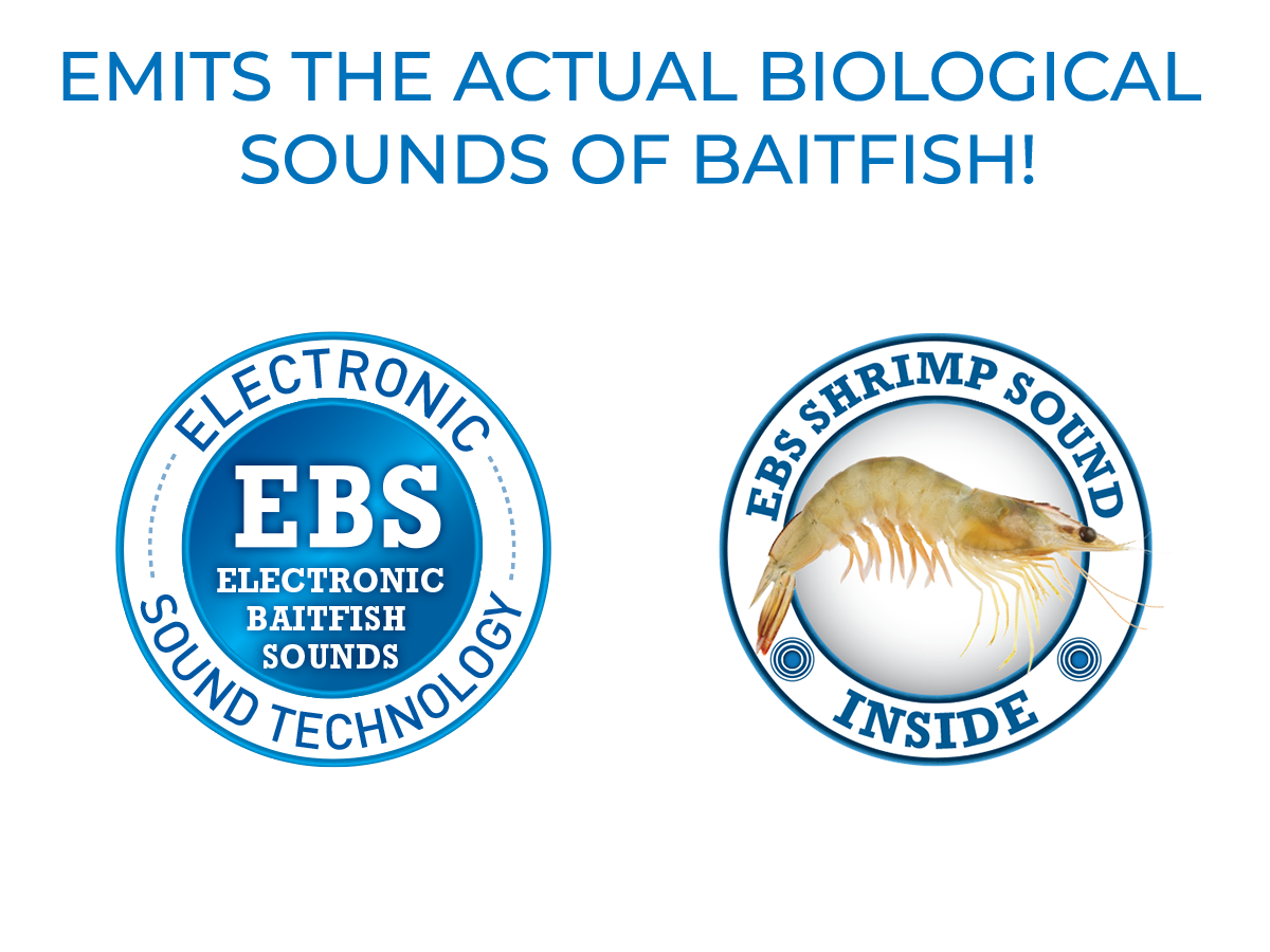 Livingston Lures Lobster Caller