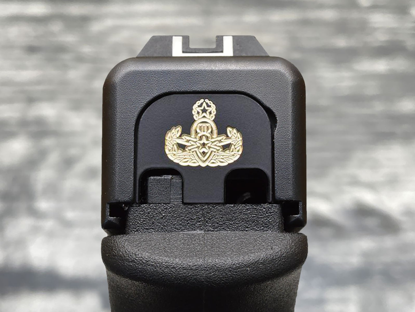 Milspin ARMY Slide Back Plates (Over 100 Emblems)