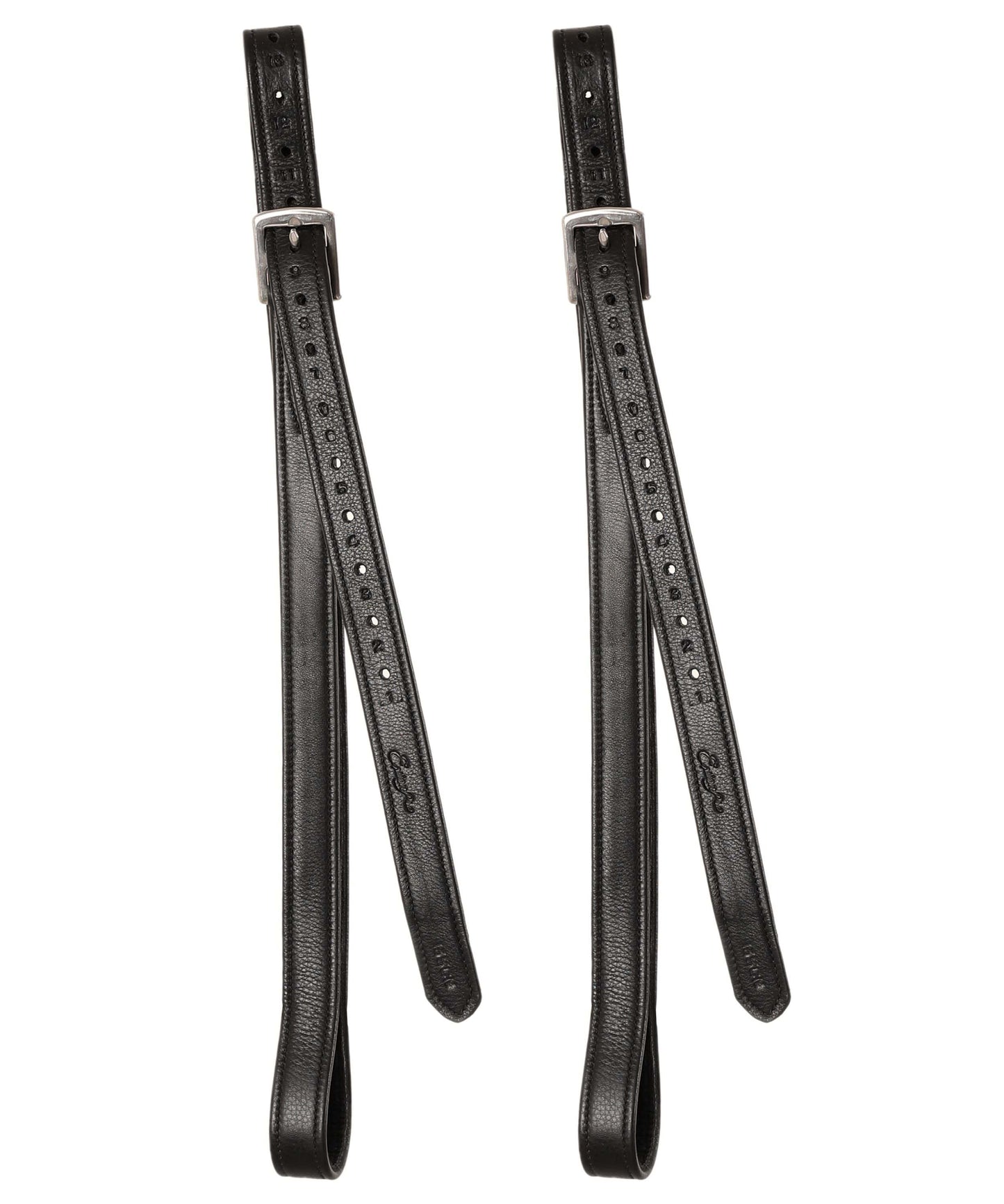 Bridles & Reins ExionPro Nylon Lined Stirrup Leathers