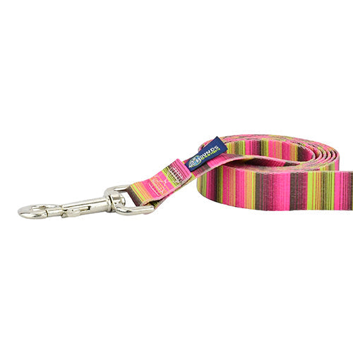 2 Hounds Design Bonnie Dog Leash – EarthStyle