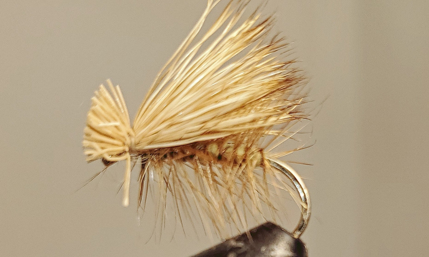 Stone Creek Elk Hair Caddis - 8 Colors!