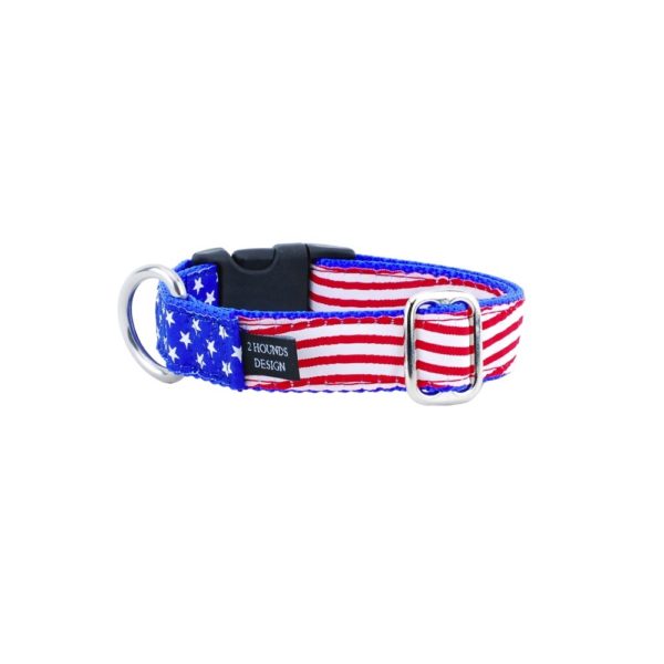 2 Hounds Design 1″ Stars and Stripes Essential Buckle Martingale Dog Collar