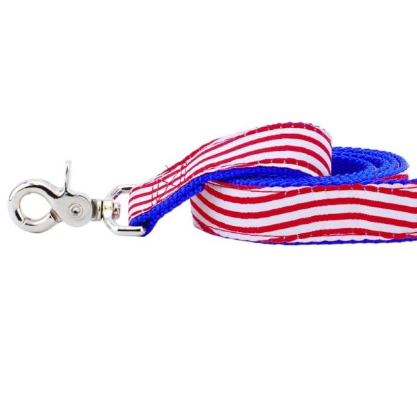 2 Hounds Design 1″ Stars and Stripes Ribbon Dog Leash