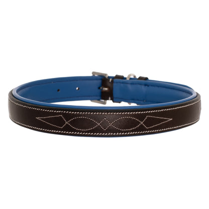 Bridles & Reins ExionPro Fancy Stitched Padded Leather Dog Collar - Blue Padding