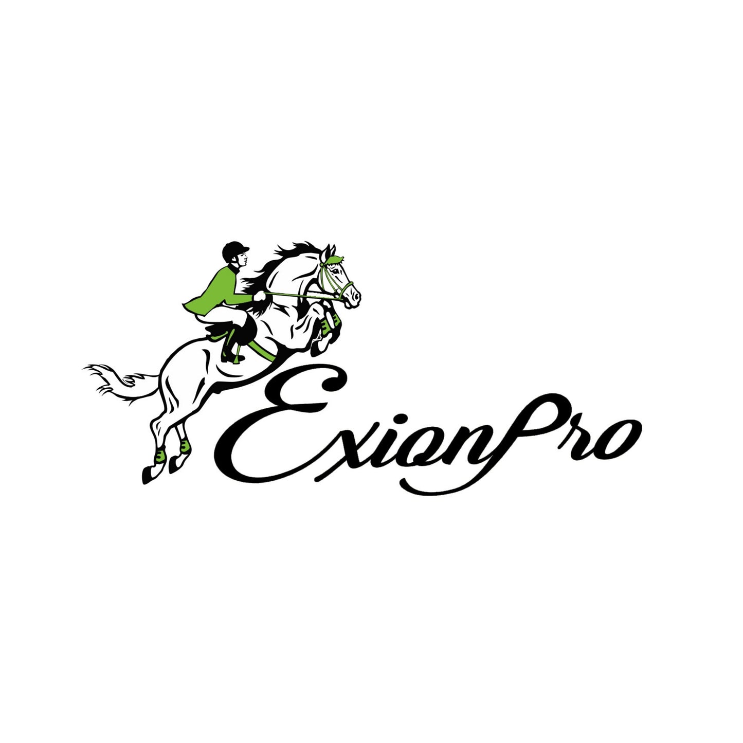 Bridles & Reins ExionPro Fancy Stitched Padded Leather Dog Collar - Blue Padding
