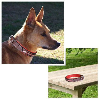 Bridles & Reins ExionPro Red Bling Padded Dog Collar With Dog Leash