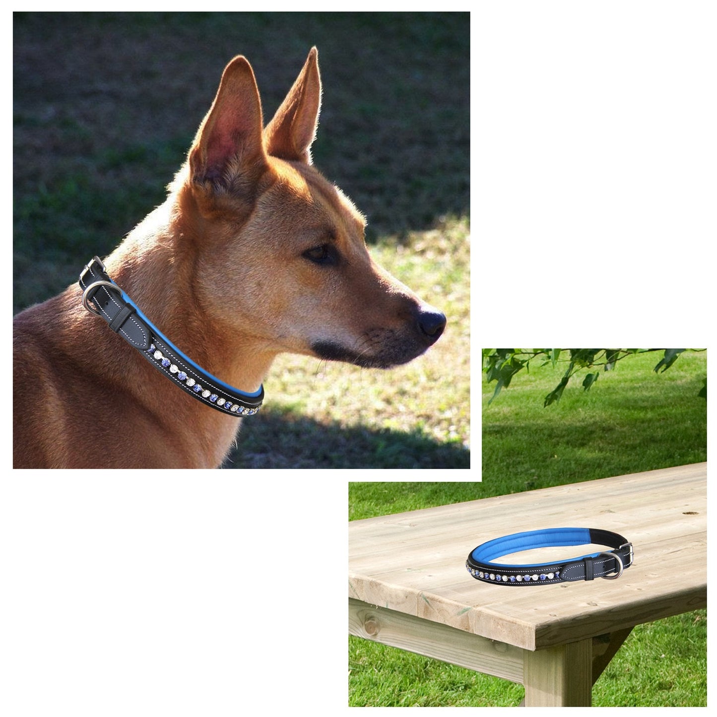 Bridles & Reins ExionPro White & Blue Bling Dog Collar With Leash