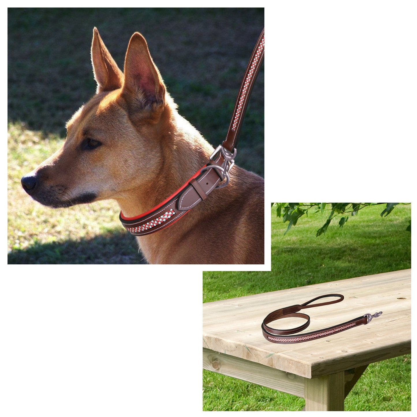 Bridles & Reins ExionPro Red Bling Padded Dog Collar With Dog Leash