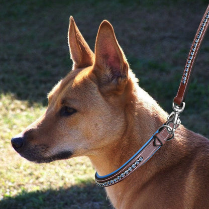 Bridles & Reins ExionPro Dark Blue Bling Dog Collar With Leash