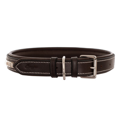 Bridles & Reins ExionPro Silver Clincher Padded Leather Dog Collar - Brown Padding