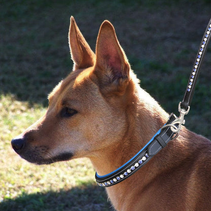 Bridles & Reins ExionPro White & Blue Bling Dog Collar With Leash