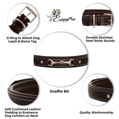 Bridles & Reins ExionPro Silver Snaffle Padded Leather Dog Collar - Conker Padding
