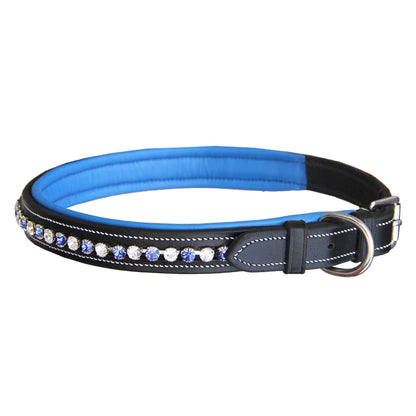 Bridles & Reins ExionPro White & Blue Bling Dog Collar