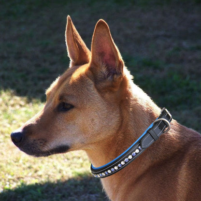 Bridles & Reins ExionPro White & Blue Bling Dog Collar
