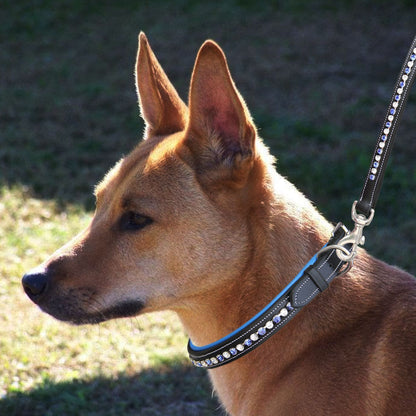 Bridles & Reins ExionPro White & Blue Bling Dog Collar