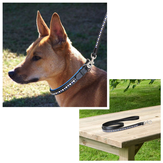 Bridles & Reins ExionPro White & Blue Bling Dog Leash