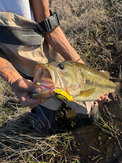 High Octane  HOCB Ducks