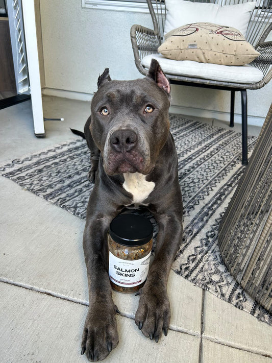 Jack’s Premium Salmon Skin Chips