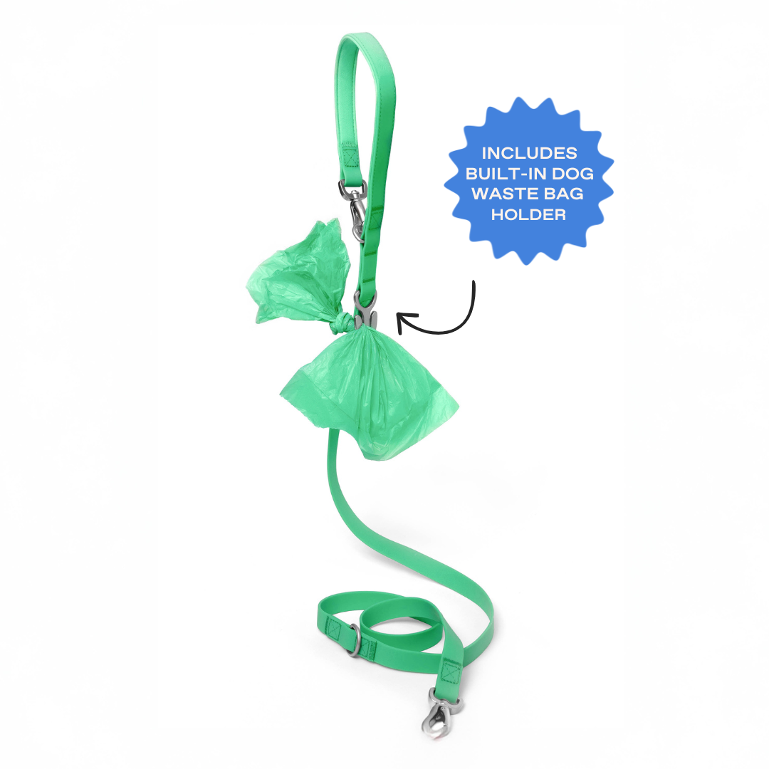 Springland Pets Waterproof Dog Leash - 5ft