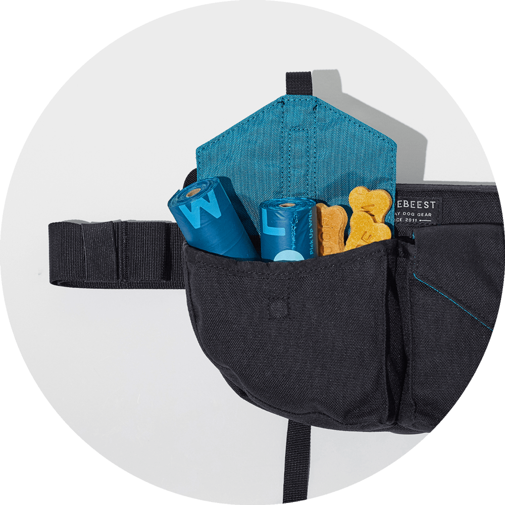 Wildebeest Farallon Field Day Belt Bag