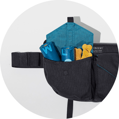 Wildebeest Farallon Field Day Belt Bag