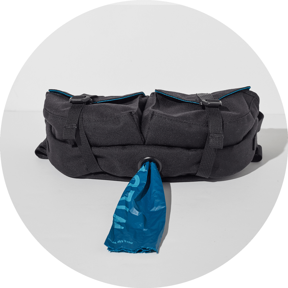 Wildebeest Farallon Field Day Belt Bag