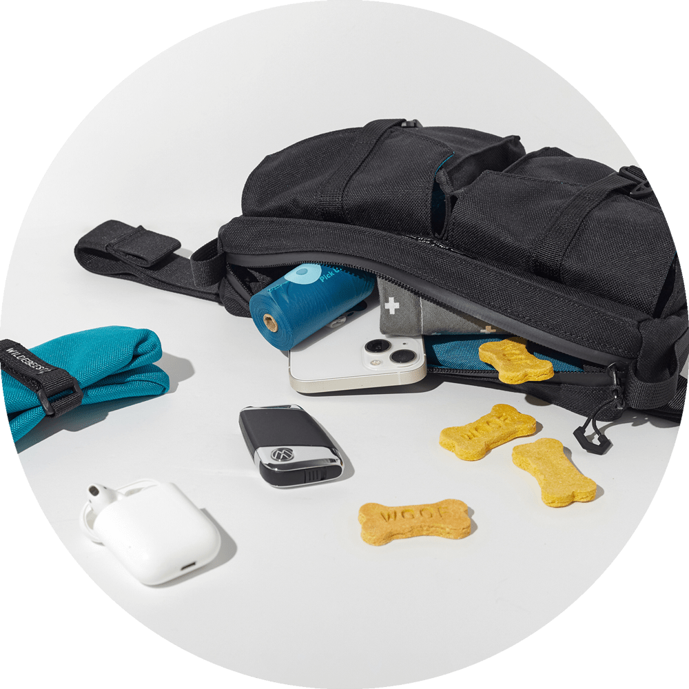 Wildebeest Farallon Field Day Belt Bag