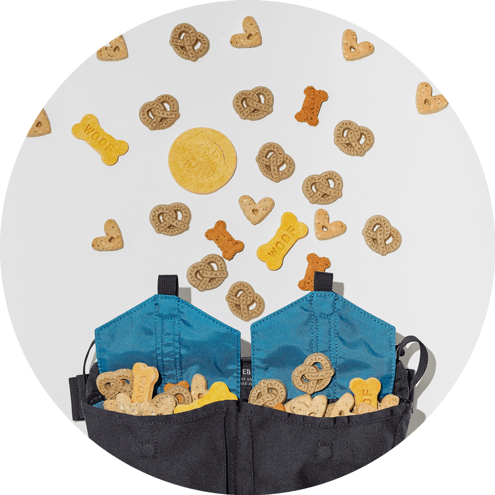 Wildebeest Farallon Field Day Belt Bag