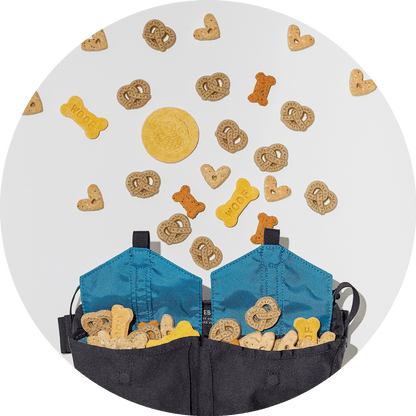 Wildebeest Farallon Field Day Belt Bag