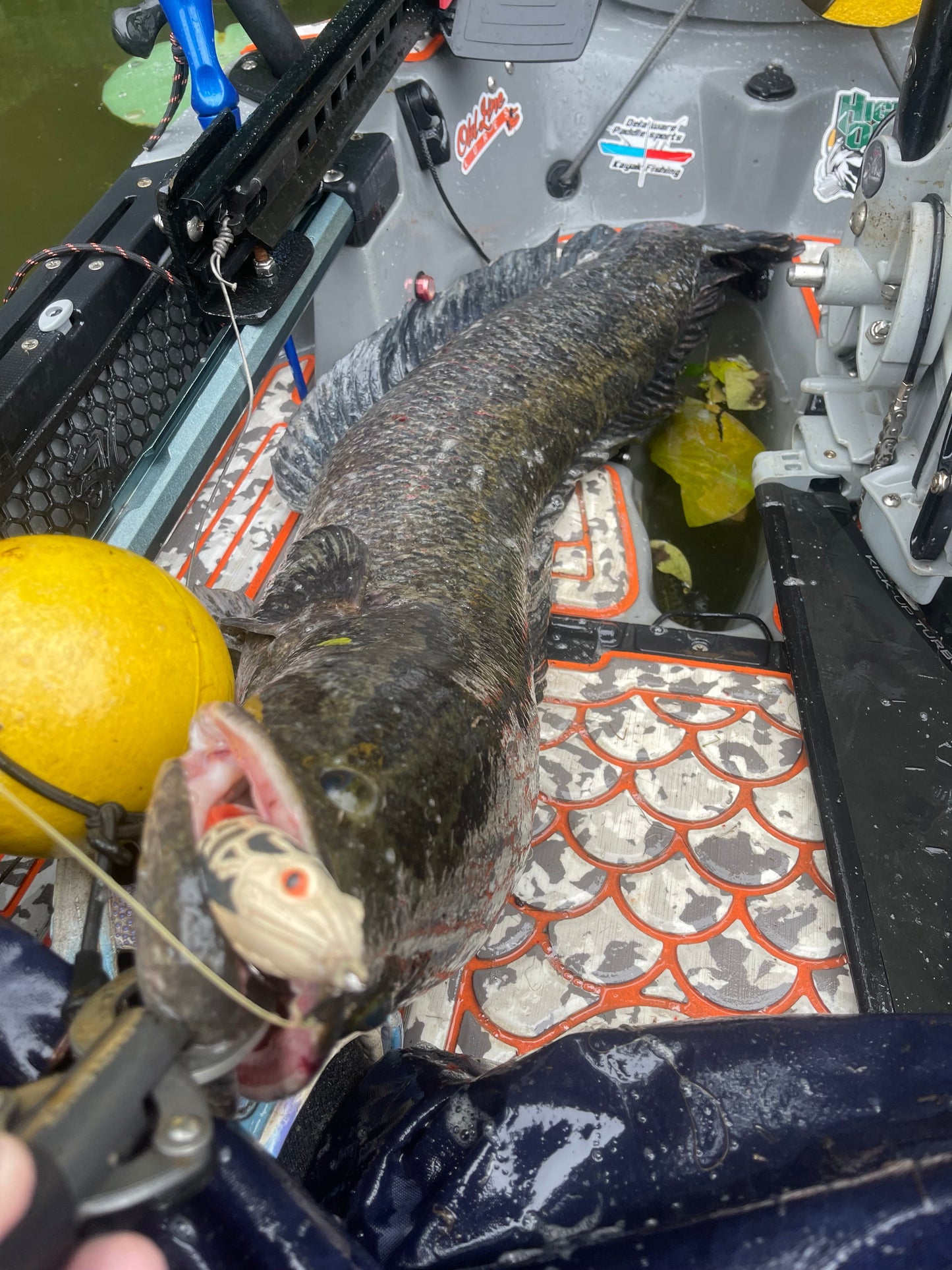 High Octane Frogzilla 2.0