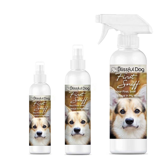 The Blissful Dog First Sniff Dog Cologne - Your First Sniff Stays on My Mind