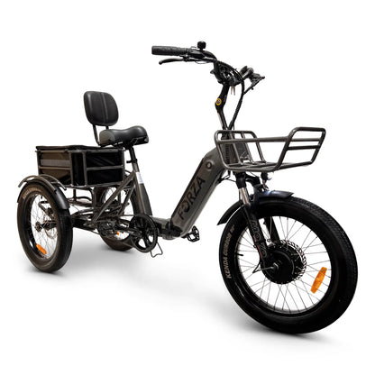 ElectricGOBIKE - FORZA Compact Foldable Electric Tricycle