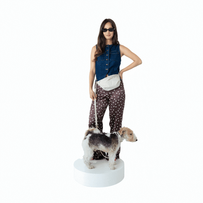 Springland Pets Hands-Free Dog Walking Bag with 4ft Leash