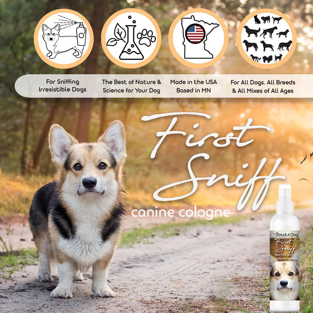 The Blissful Dog First Sniff Dog Cologne - Your First Sniff Stays on My Mind