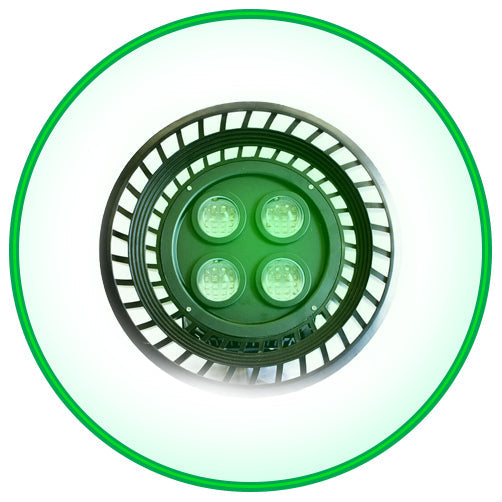 Under Water Green Fishing Lights Flame 1500 LED Overhead Light